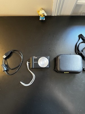 Sony Cyber-Shot DSC-W810 20,1M Digitalkamera guter Zustand