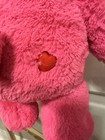 Care❤️ Bears Build a Bear Limited Edition Plush Pink Cheer Bear Rainbow 2015 — photo 10