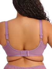 Image of Elomi Smooth T-Shirt Bra Moulded Underwired Seamless Non Padded Bras Lingerie