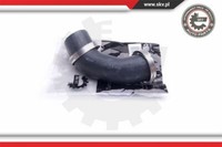 Esen SKV Ladeluftschlauch FüR Renault Espace IV JK0/1_ 2.0 Dci Laguna II BG0/1_