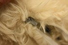 Bild 5 von 5