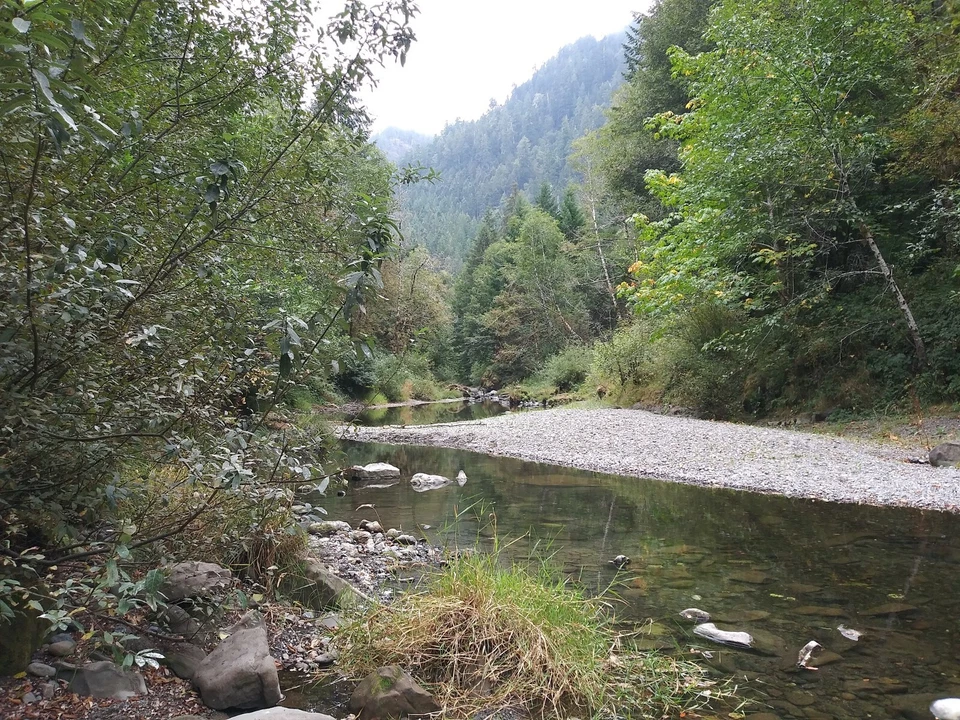 Membresía de la Asociación de Prospectores Mineros de la República. Acceso a 18 reclamaciones mineras. Foto 3 de 4