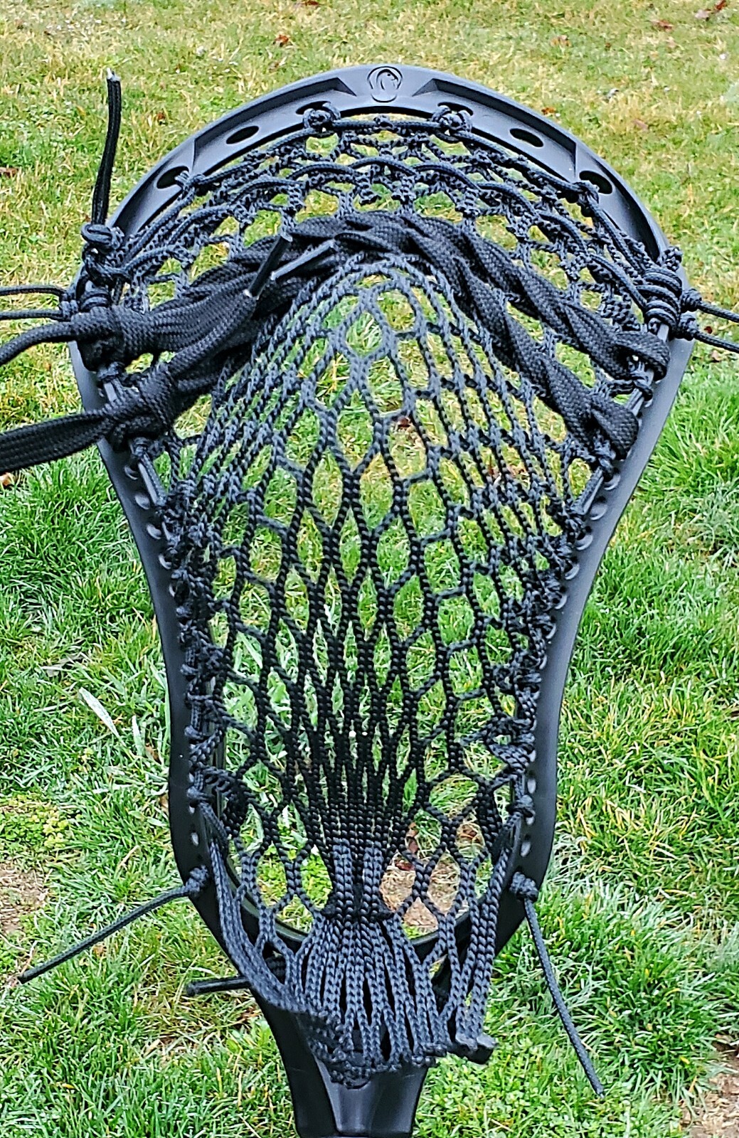 Picture 5 of 15