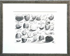 Eier Stilleben Eierschalen original Tusche 1978 Michaela Krinner 1915-2006