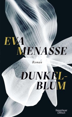 Dunkelblum - hardcover Eva Menasse