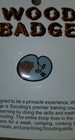 BOY SCOUTS OF AMERICA WOOD BADGE LAPEL PIN BEAR BSA NEW