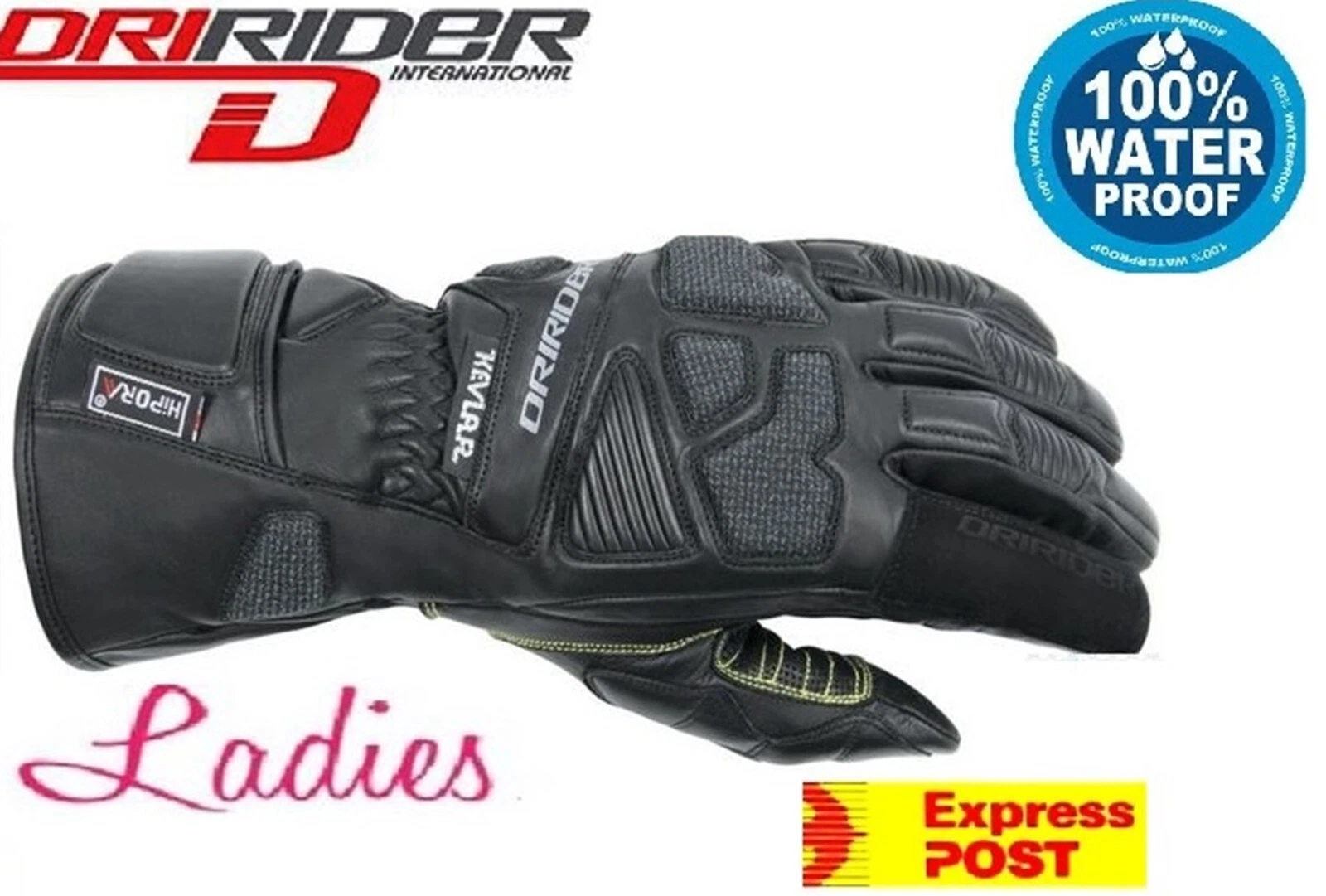 DRIRIDER Apex 2 Female Waterproof Gloves New Womens Ladies Winter Road Motorbike
Opens in a new wind