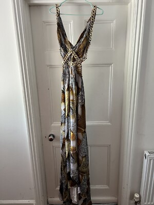 Roberto Cavalli Runway Rare Grecian Gold Chain Dress 42 Worn At Elton s Ball