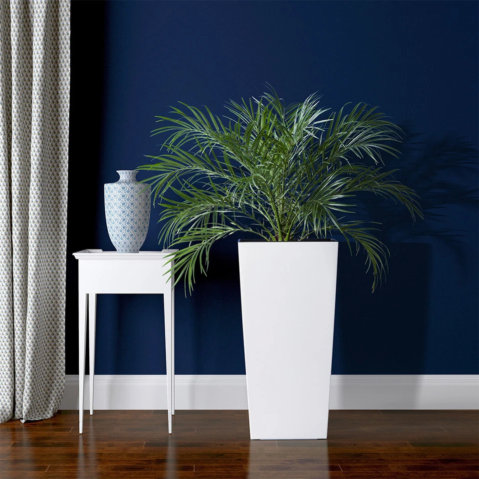 Blumenkübel Hochglanz Pflanzkübel Blumentopf Übertopf Pflanzgefäß 6Farben Größen - Bild 4 von 4