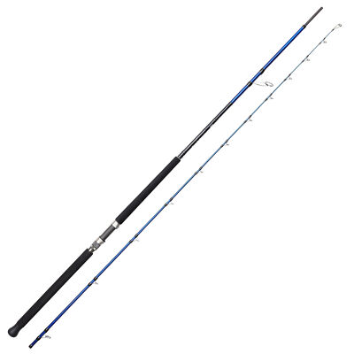 Savage Gear SGS6 Shore Jigging 3.05m 30-100g - Spinnrute, Rute fürs Spinnangeln