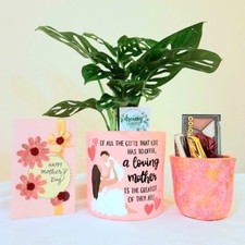 Gift Pack for Mom Hand-Painted Pot, Makeup Holder Card