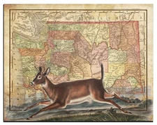 Vintage Whitetail Deer Hunting Washington State Map Art Print 11x14 Cabin Decor
