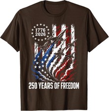250 Years of Freedom 250th Anniversary USA Flag 4th of July Unisex T-Shirt