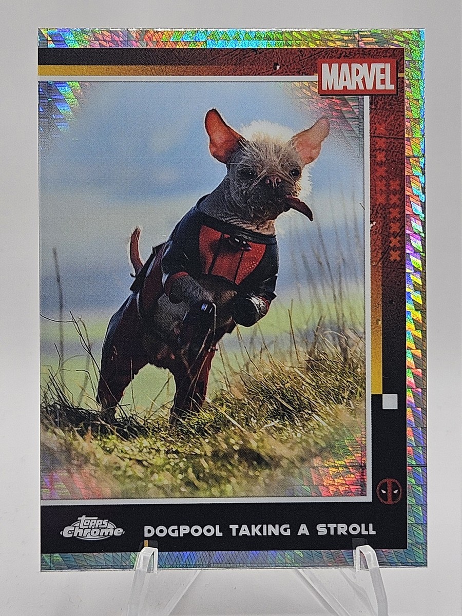 deadpool trading card sleeves Amazon.com: Upper Deck Deadpool Sleeves (65 Count, Clear Plastic Card  Sleeves) : Toys & Games