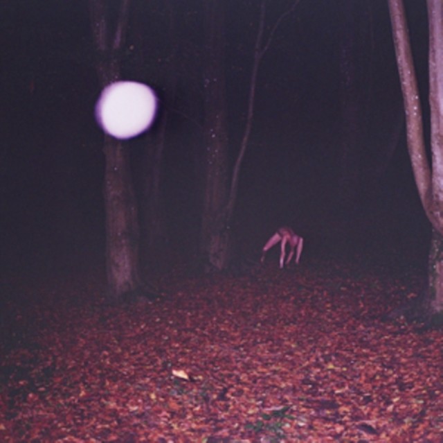 Skinwalker - Image 4