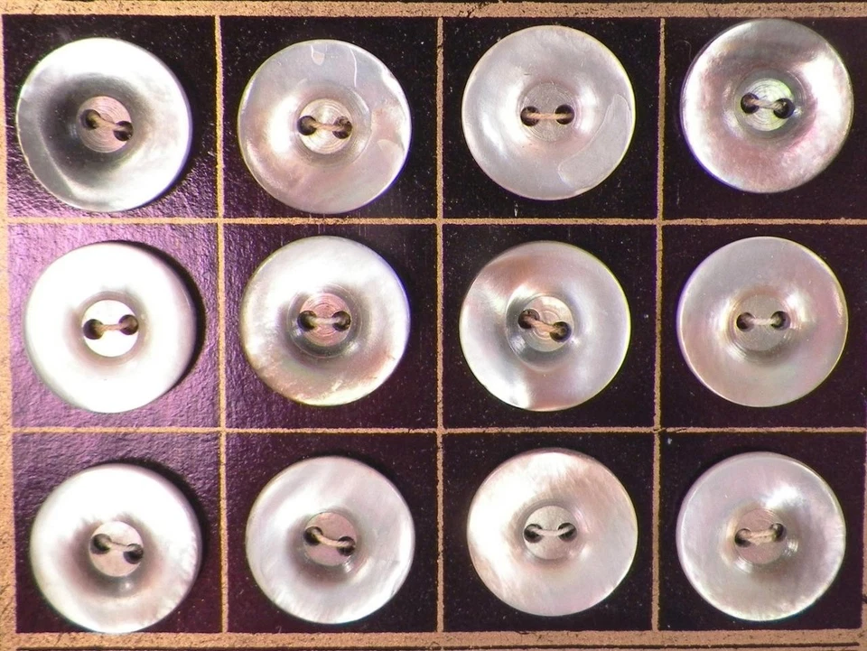 24 Abalone Shell Buttons Store Card Antique Iridescent White Smokey Mint #2 - Image 3 of 4