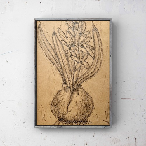 Hyacinth Bulb Drawing Pencil Ink Botanical Sketch Spring Flower Minimalism Art - Picture 3 of 16