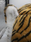 Bild 12 von 24