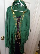 Disney Hocus Pocus Winifred Sanderson Adult Woman's Costume 1XL w/ Wig