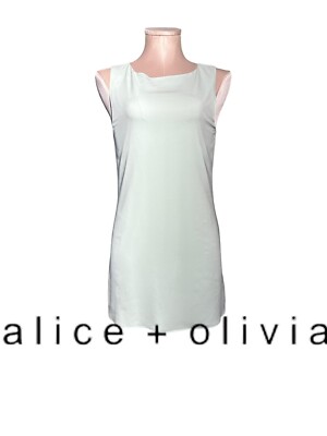 Alice + Olivia Silk Dress XS. Light Mint Green Color. Beautiful Detail On Back | eBay Alice + Olivia Silk Dress XS. Light Mint Green Color. Beautiful Detail On Back | eBay