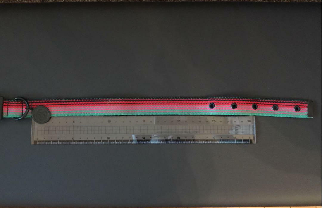 STUSSY Dog Collar 32-44cm 12.6