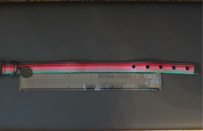 STUSSY Dog Collar 32-44cm 12.6
