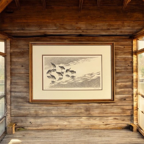 Vintage Signed Wildlife Sanderlings Feeding At Dusk Print Limited Edition 45/100