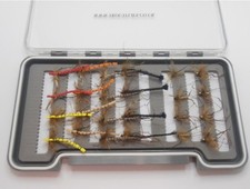 24 Daddys- Detached, Standard & Skinny, Boxed Set, Mixed Sizes, TroutfliesUK