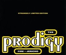 Fire von the Prodigy | CD | Zustand sehr gut