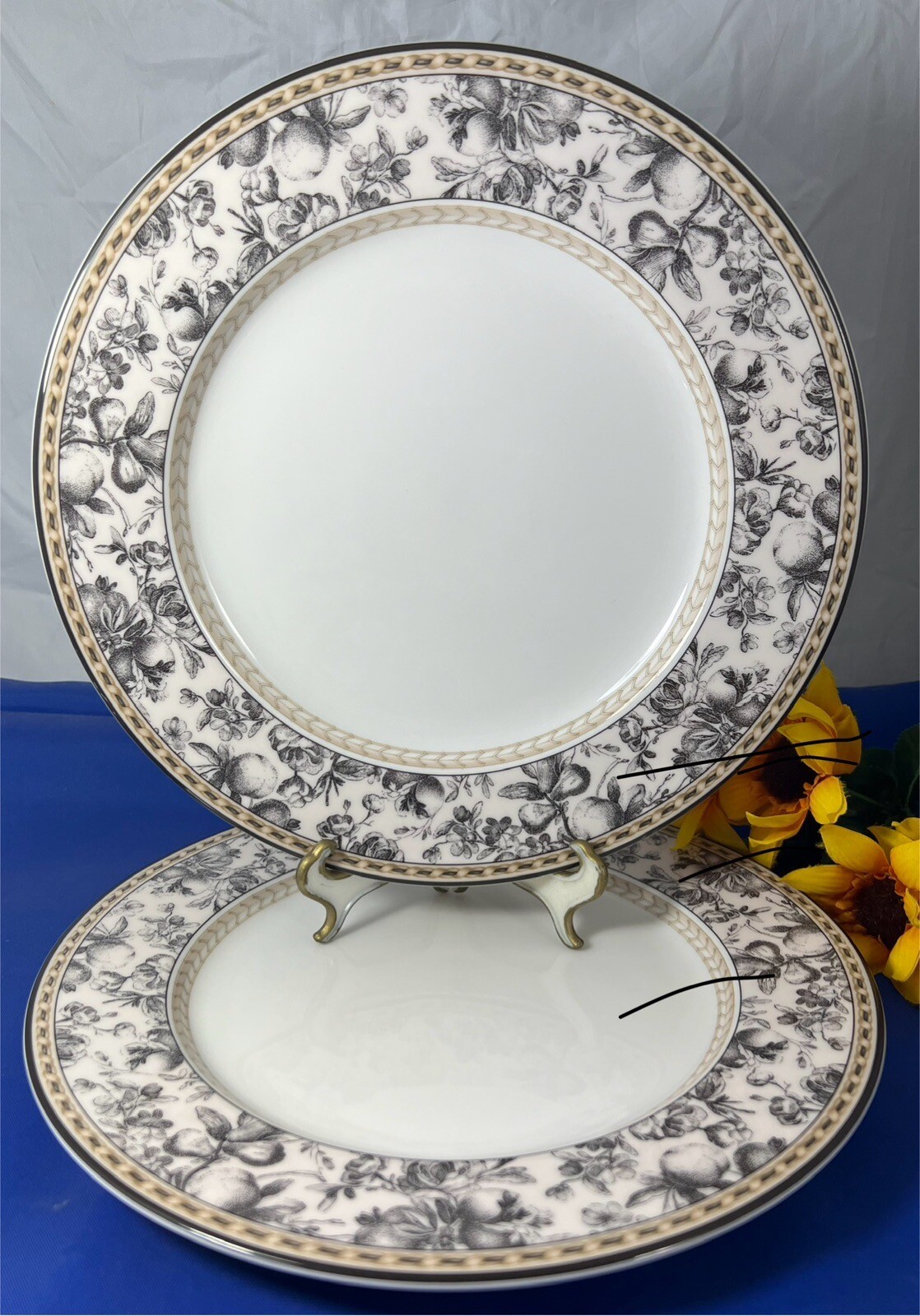 Royal Doulton STUDIO PROVENCE NOIR Dinner Plates 11" Fine China Set Of