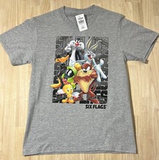  LG SIX FLAGS Youth Gray Heather Shirt LOONEY TUNES Squad Graphic Tee NWT