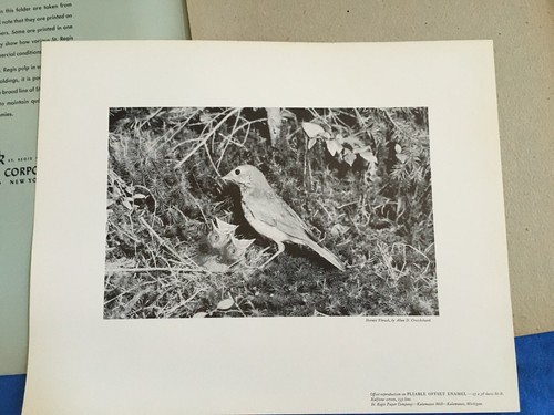 1950s Commercial Printing SALESMAN SAMPLES St. Regis Advertising Nature Prints - Picture 6 of 7