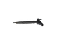 EinspritzdüSe Bosch 0 445 117 079 FüR Audi Q5 Fyb Fyg A6 C8 4A2 A5 F53 F5P Avant
