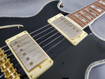 Ibanez Ibanez AR520H Black New Electric Guitar | eBay