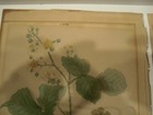 Bild 4 von 15