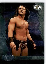 2022 SkyBox Metal Universe AEW #15 Jungle Boy