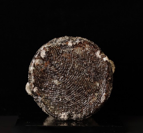 Impressive ceramic vase by a renown Hagi artist. ZH7 - Picture 14 of 17