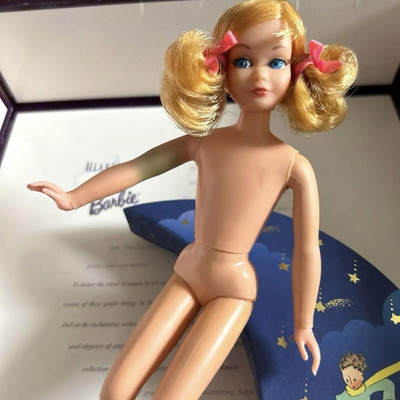 Mattel Living Skipper Barbie Doll Pigtails Pink Ribbon Eyelash