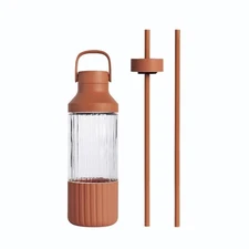 EcoFlow Reusable Borosilicate Water Bottle with Straw Cap