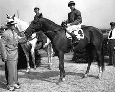 1941 Triple Crown Champion WHIRLAWAY Glossy 8x10 Photo Thoroughbred Print 