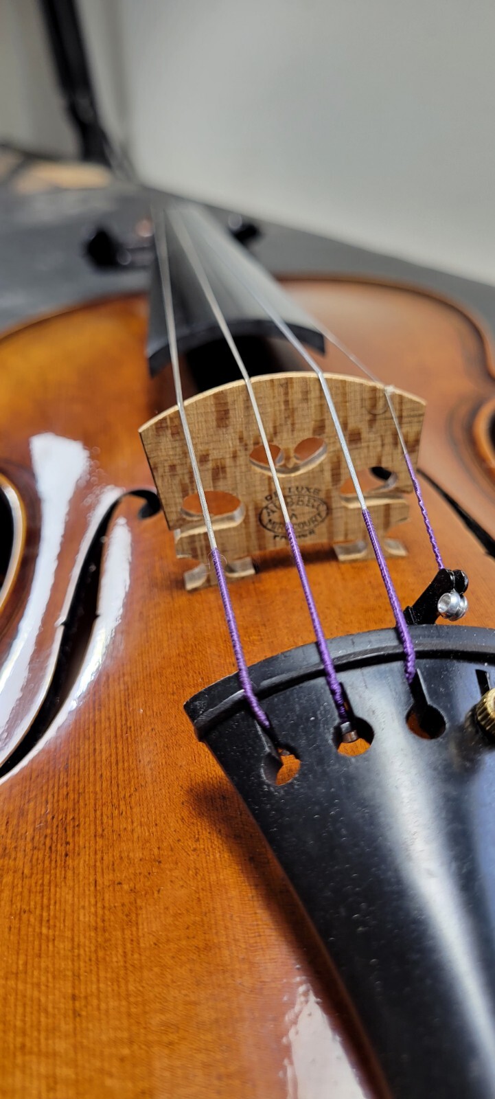 Paolo Maggini Violin eBay