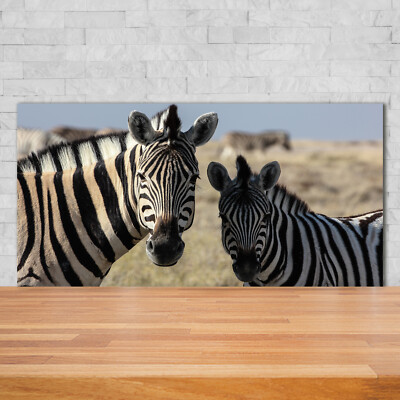 Küchenrückwand Spritzschutz aus Glas 140x70 Deko Tiere Zwei Zebras