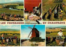 Carte Postale - Vignes - Champagne - Vendanges - Multivues - Moulin à vent - CPM