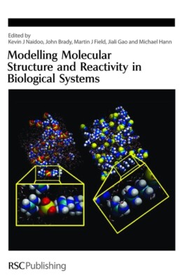 Modelling Molecular Structure And Reactivity In Biological Systems