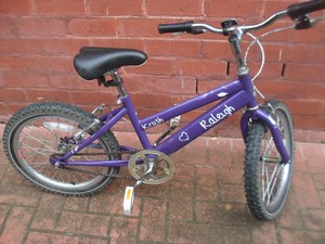 raleigh girls mountain bike