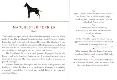 Manchester Terrier - CUSTOM MATTED Dog Art Print - Breed Description and History