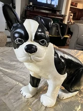 Vintage Cast Iron Dog Doorstop Sitting Boston Terrier / Boxer One Ear Up Heavy