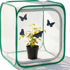 Insect Butterfly Habitat Cage, Portable Pop-Up Terrarium with Mesh Sides, Bug