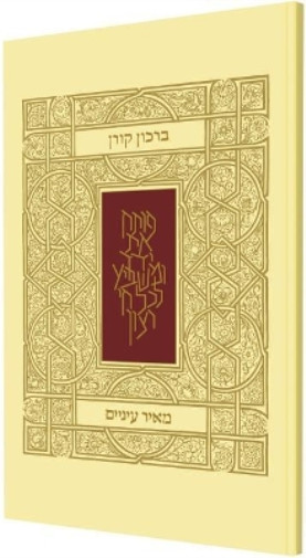 Книга Биркон Меир Эйнаим (в мягкой обложке) (ИМПОРТ ИЗ Великобритании)