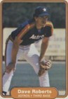 1982 Fleer - Dave Roberts #227